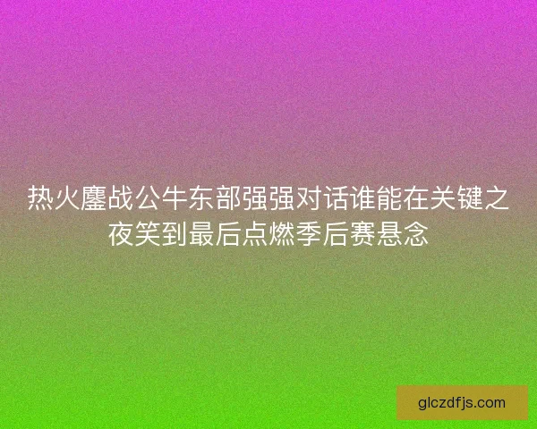 热火鏖战公牛东部强强对话谁能在关键之夜笑到最后点燃季后赛悬念