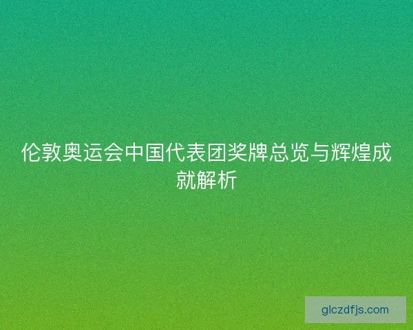 伦敦奥运会中国代表团奖牌总览与辉煌成就解析