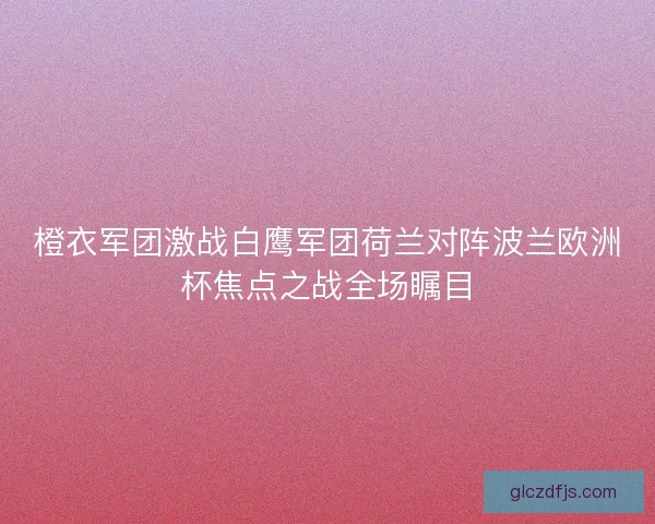 橙衣军团激战白鹰军团荷兰对阵波兰欧洲杯焦点之战全场瞩目 橙衣军团激战白鹰军团荷兰对阵波兰欧洲杯焦点之战全场瞩目